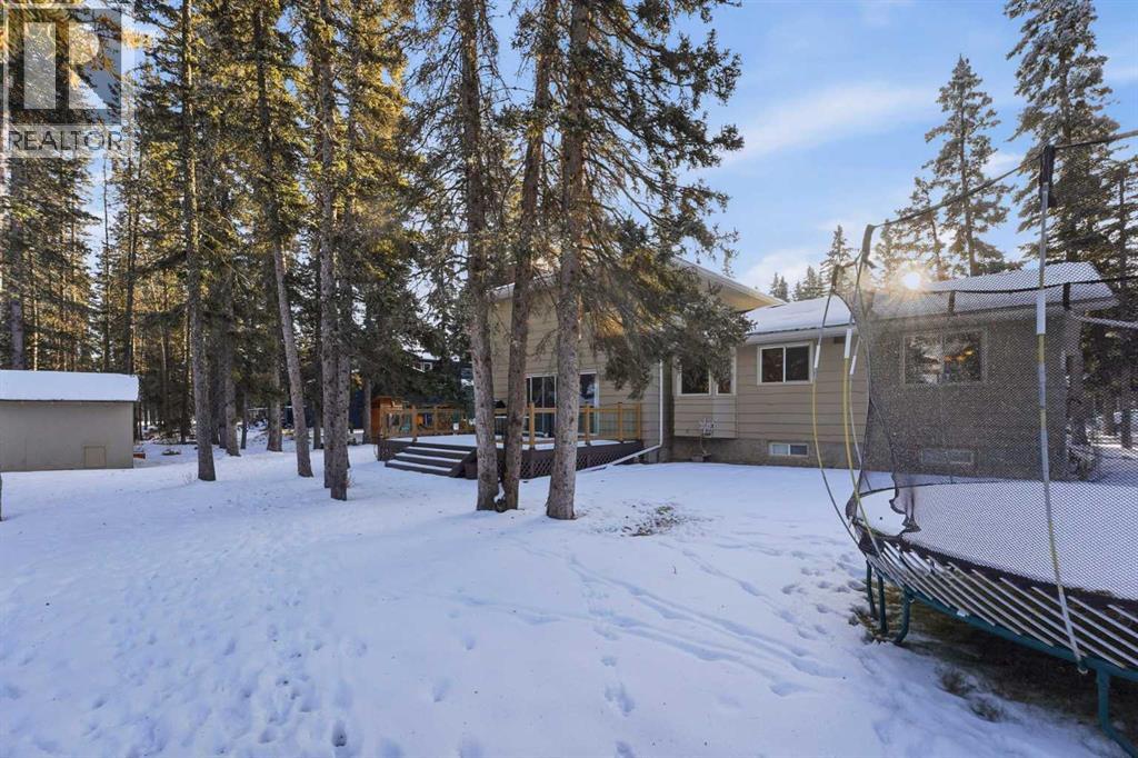 38 Wolf Drive, Rural Rocky View County, Alberta  T3Z 1A3 - Photo 43 - A2277293