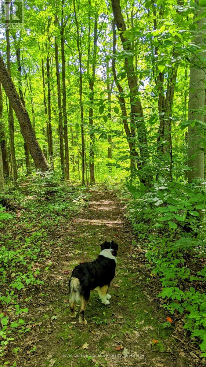 807035 25th Side Road, Grey Highlands, Ontario  N0C 1G0 - Photo 37 - X12854176
