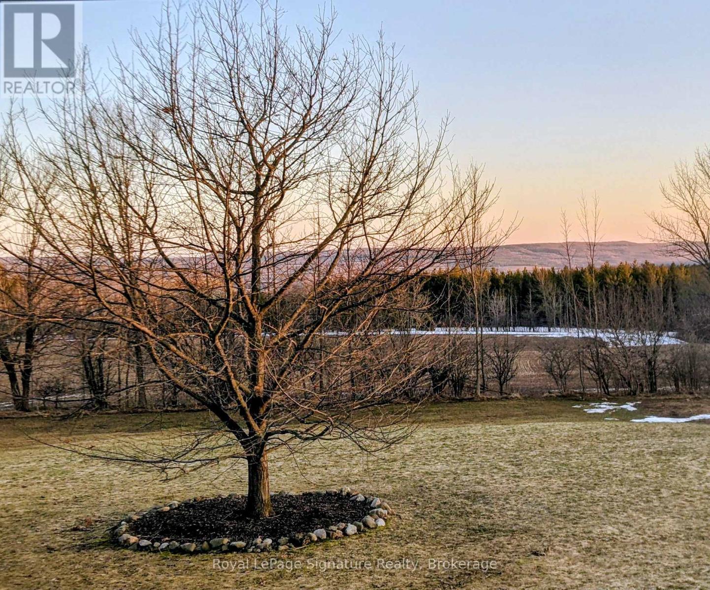 807035 25th Side Road, Grey Highlands, Ontario  N0C 1G0 - Photo 34 - X12854176