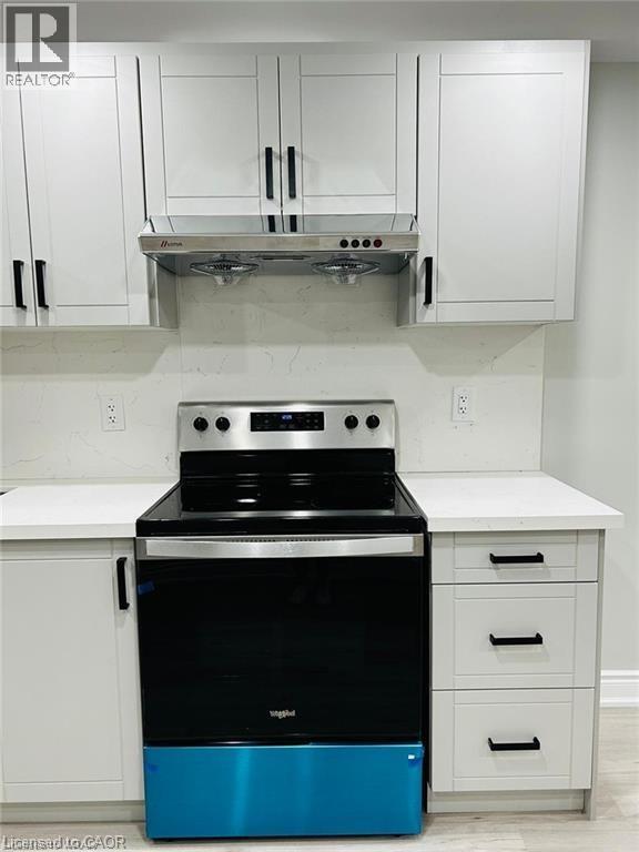 216 Woodbine (Basement) Avenue, Kitchener, Ontario  N2R 1Y5 - Photo 8 - 40811476