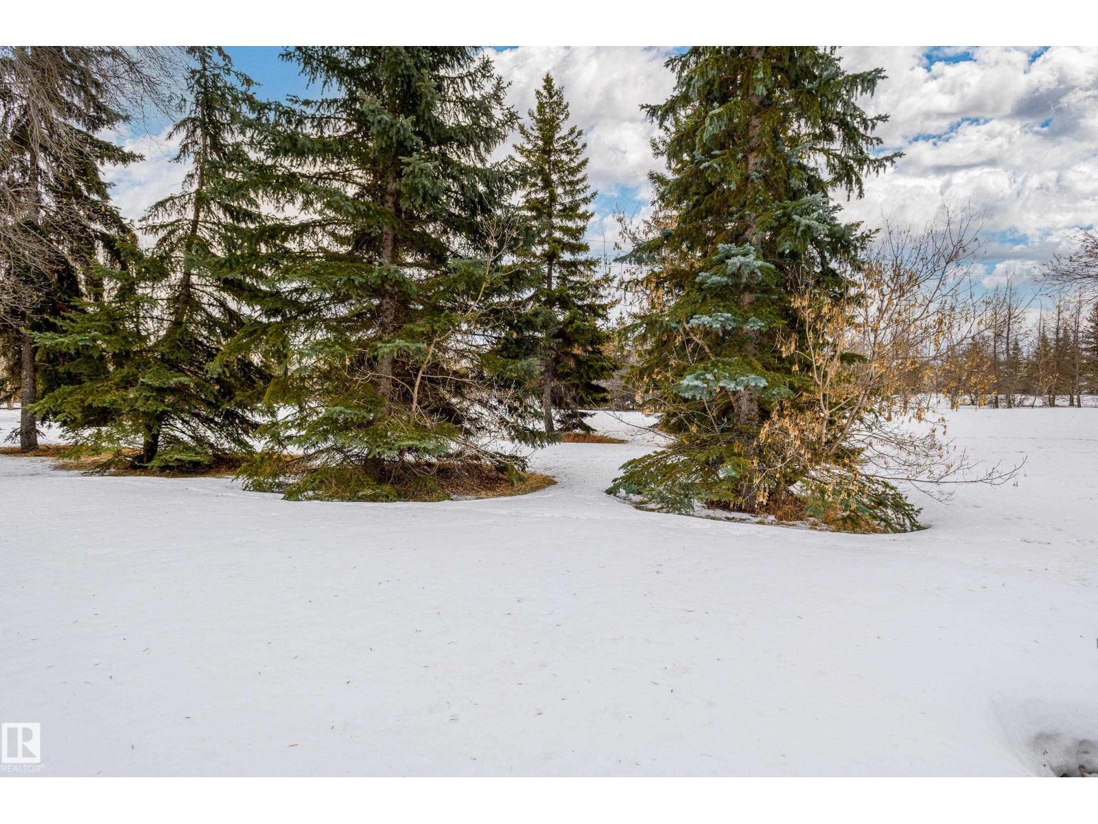 9709 90 Av, Fort Saskatchewan, Alberta  T8L 1M4 - Photo 68 - E4476860