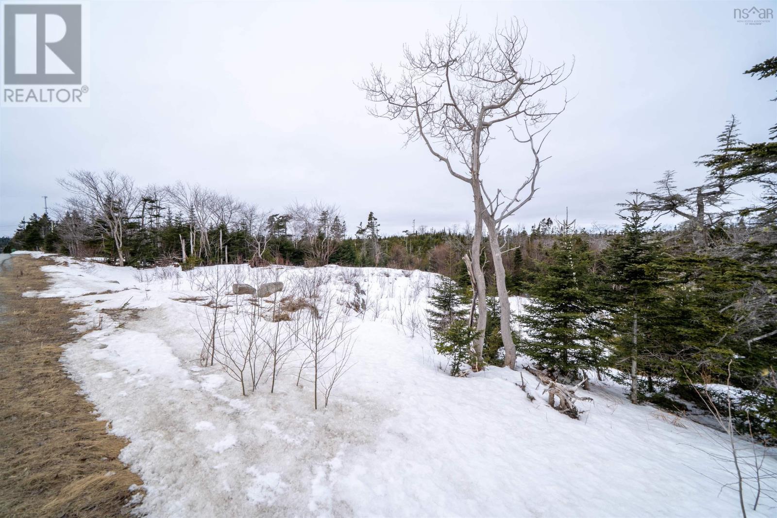 1249 Ketch Harbour Road, Ketch Harbour, Nova Scotia  B3B 0B5 - Photo 23 - 202603933