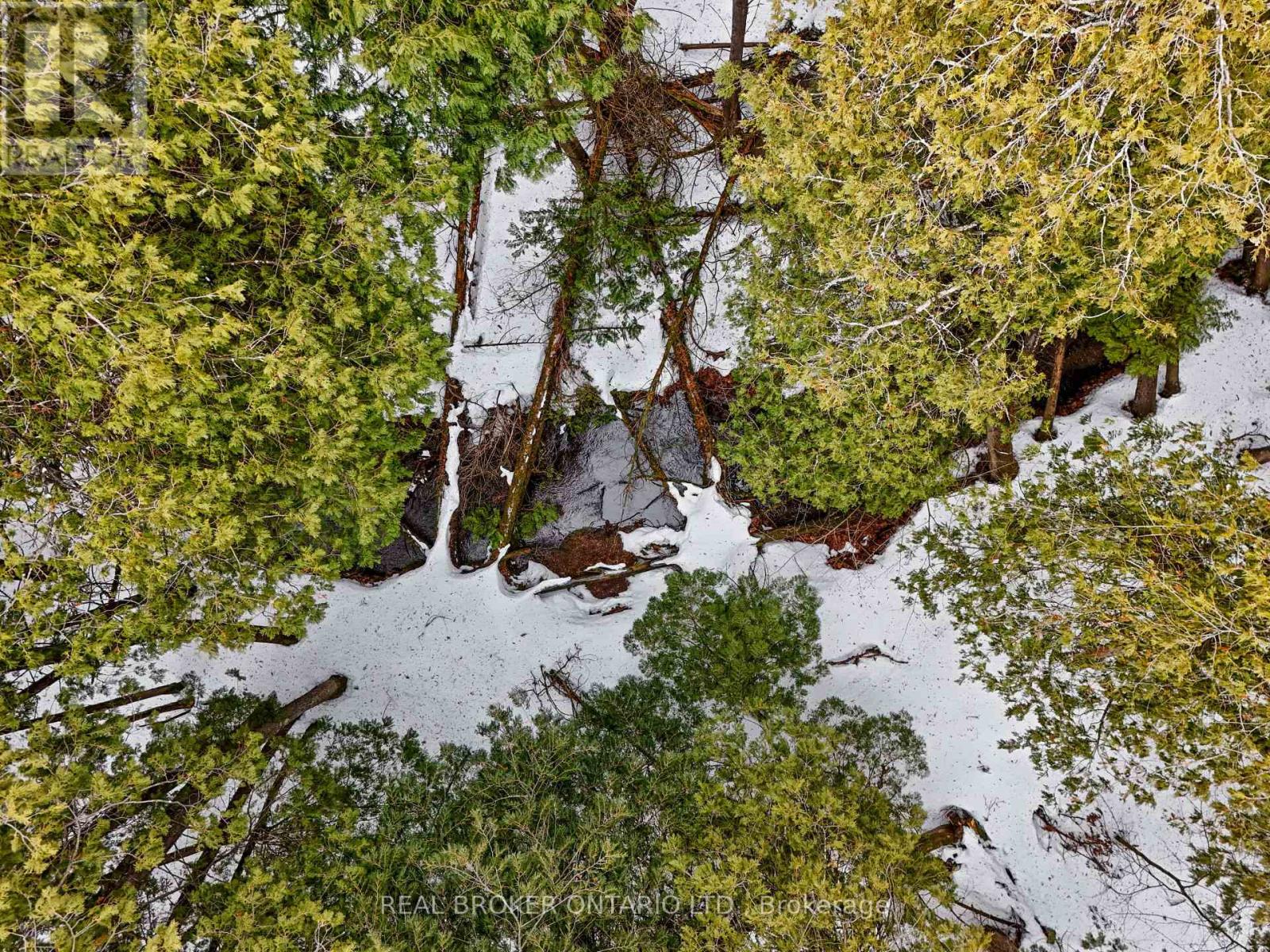 481 Oak Hill Road, Port Hope, Ontario  L0A 1B0 - Photo 31 - X12871608