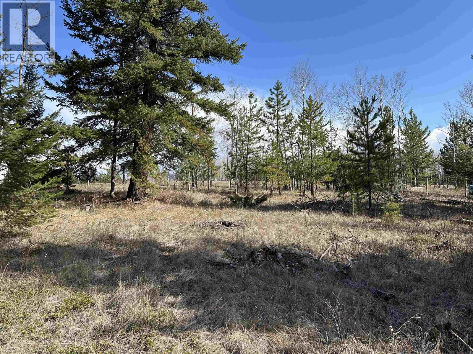 882 S Green Lake Road, 70 Mile House, British Columbia  V0K 2K2 - Photo 21 - R3098847