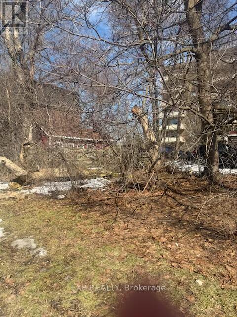 67 Richmond Street, Richmond Hill, Ontario  L4C 3Y3 - Photo 4 - N12872454