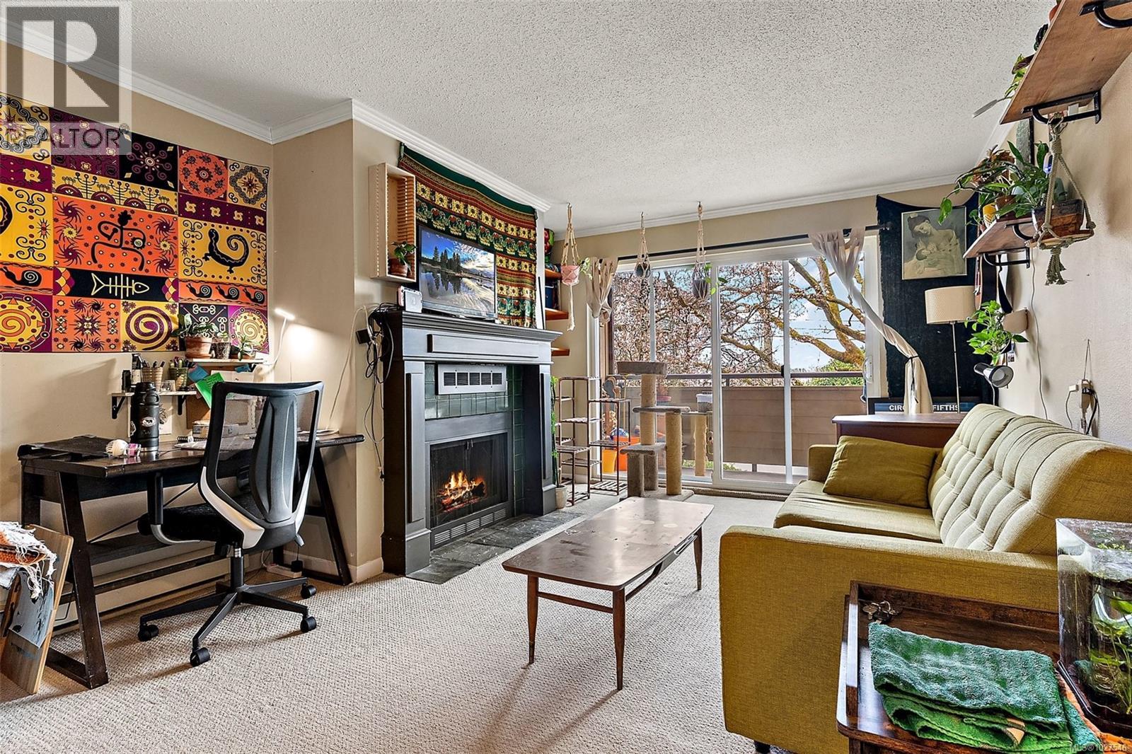 209 3215 Alder St, Saanich, British Columbia  V8X 1P3 - Photo 8 - 1027546