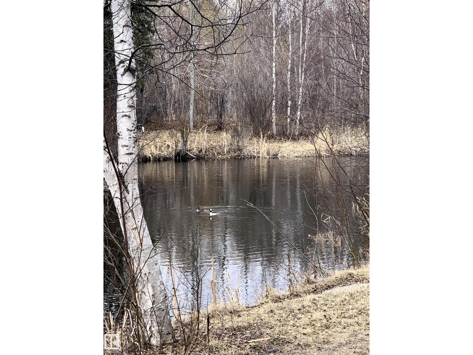 #5 51221 Rge Road 265, Rural Parkland County, Alberta  T7Y 1E7 - Photo 3 - E4476716