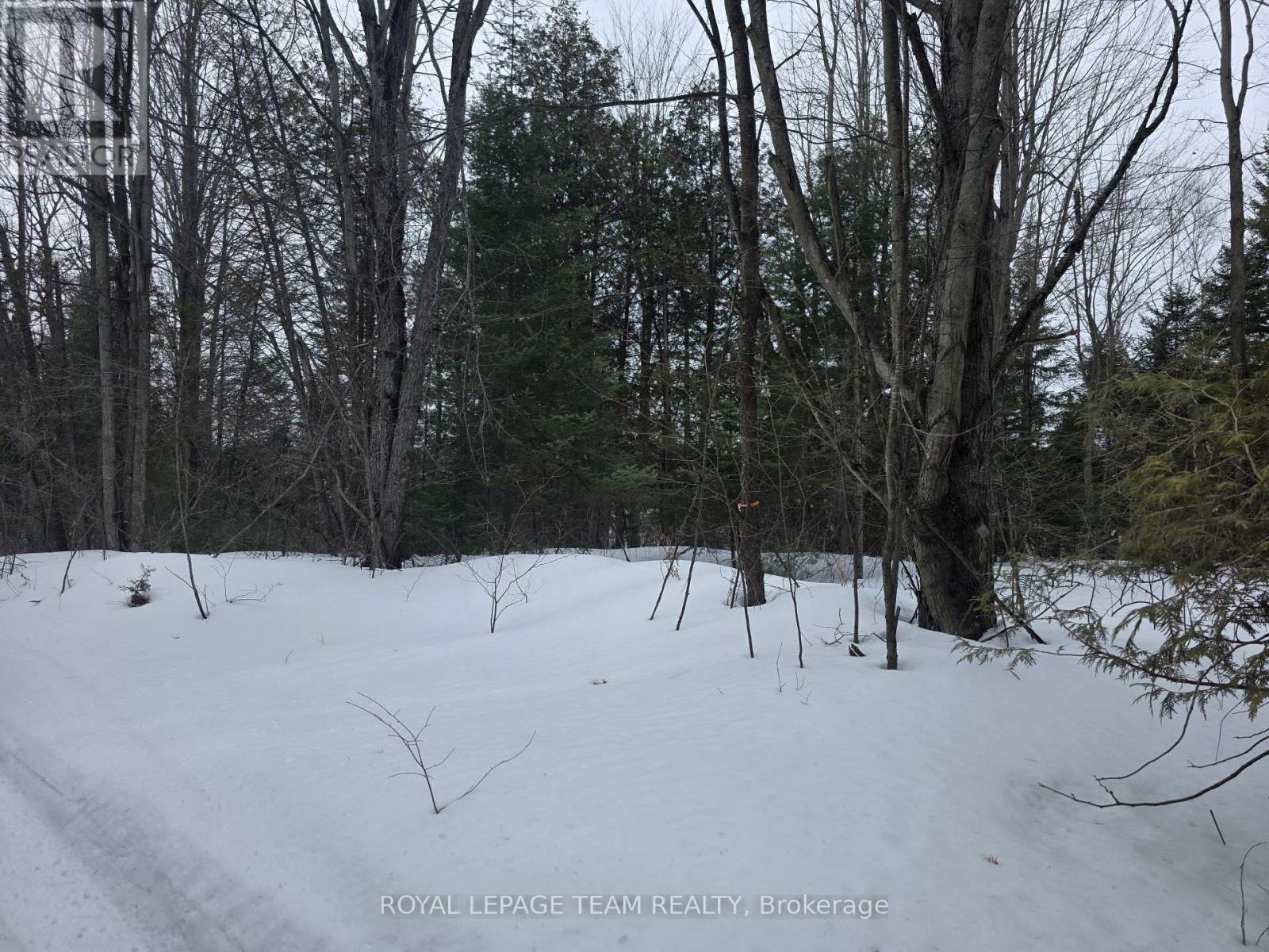 00 Maple Hill Road, North Grenville, Ontario  K0G 1T0 - Photo 10 - X12838602