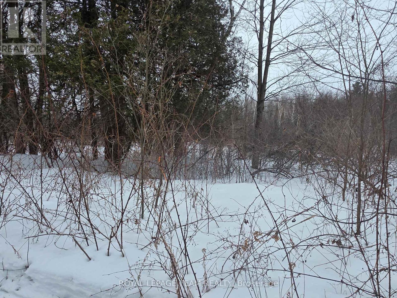 00 Maple Hill Road, North Grenville, Ontario  K0G 1T0 - Photo 12 - X12838602