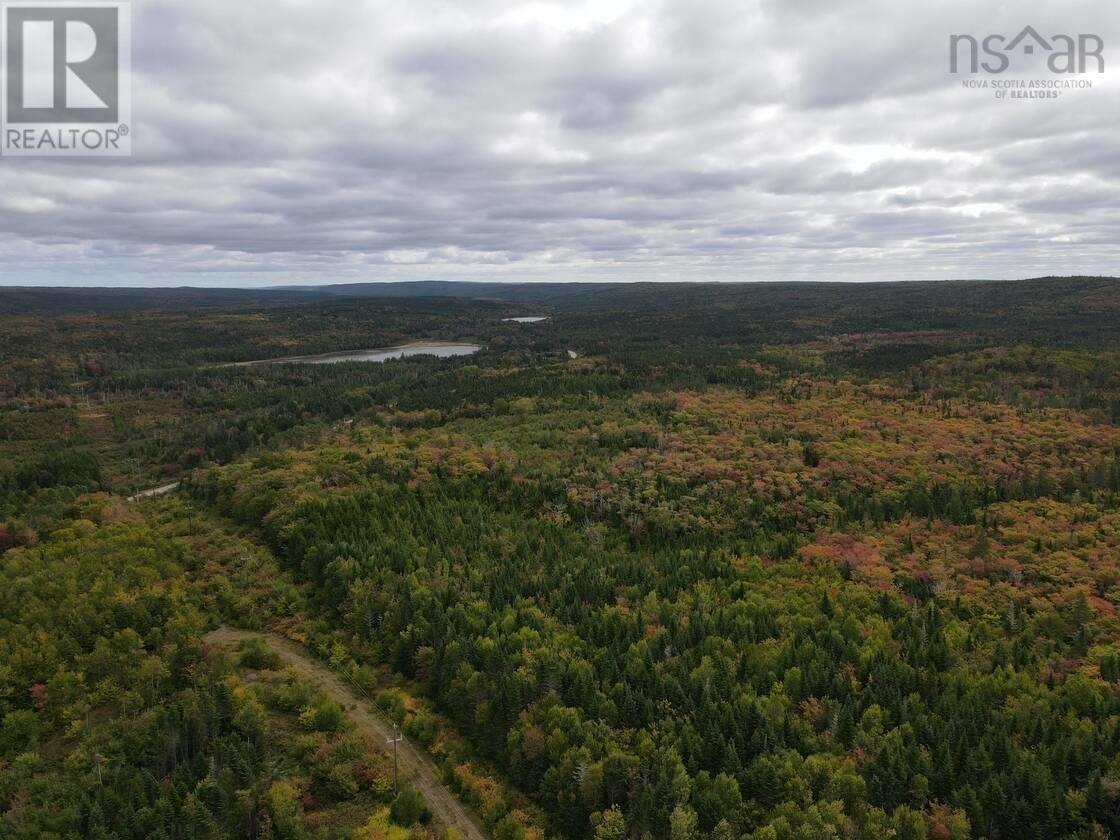 South River Lake Road, Ogden, Nova Scotia  B0H 1N0 - Photo 5 - 202525360