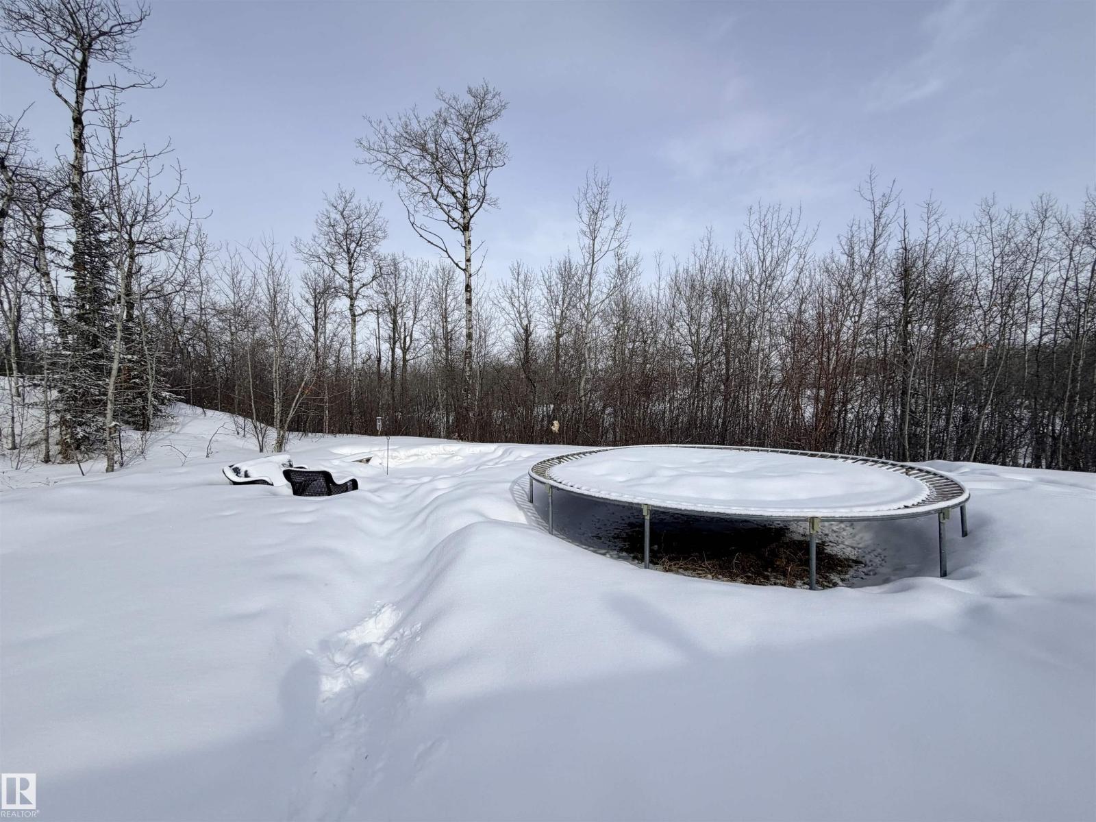 142 60032 Sec 867, Rural St. Paul County, Alberta  T0A 1C1 - Photo 37 - E4476915