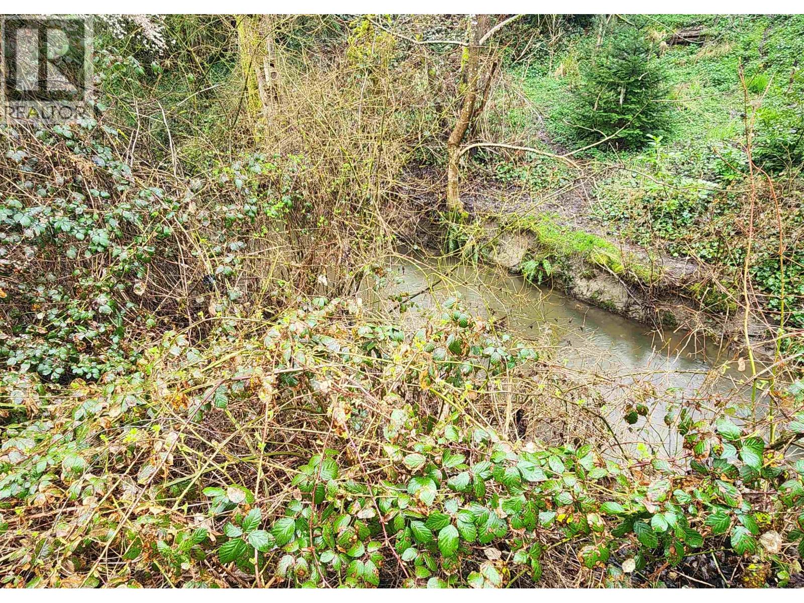 22808 125b Avenue, Maple Ridge, British Columbia  V2X 0P8 - Photo 20 - R3098690