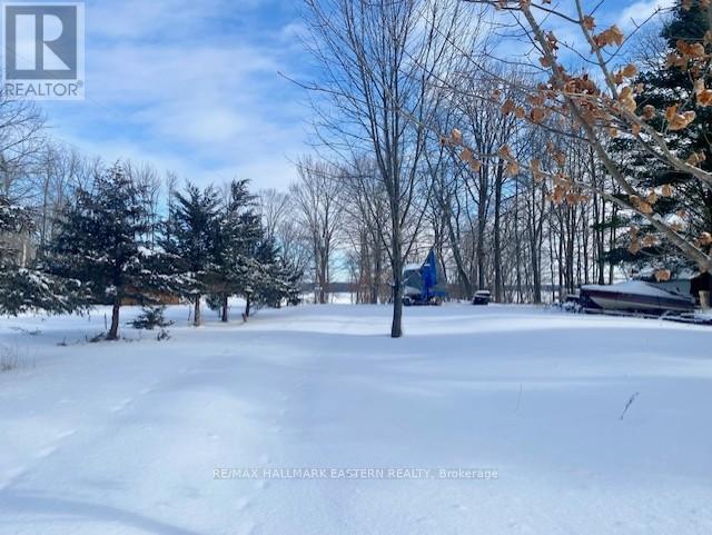 385 Blairton Road, Havelock-Belmont-Methuen (Belmont-Methuen), Ontario  K0L 1Z0 - Photo 8 - X12872922