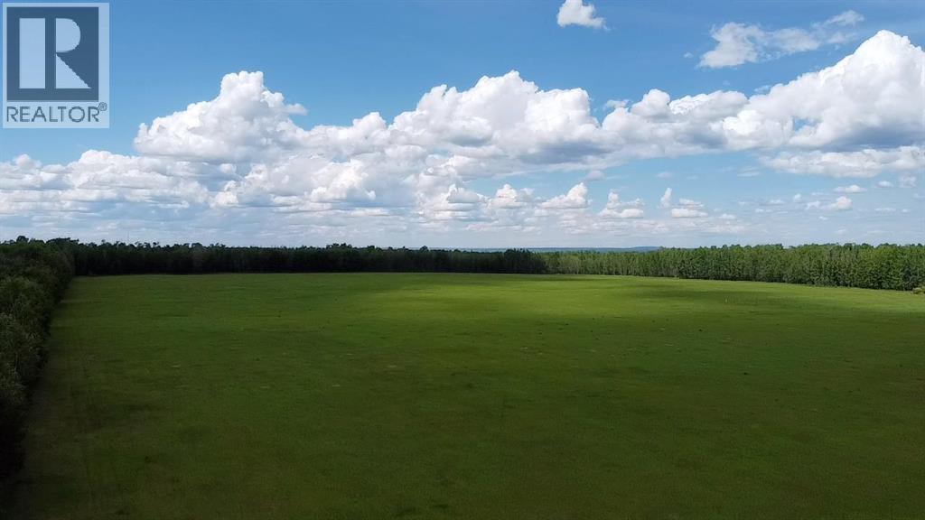 Part Of Ne-10-66-22-W4, Rural Athabasca County, Alberta  T9S 1W1 - Photo 10 - A2292681