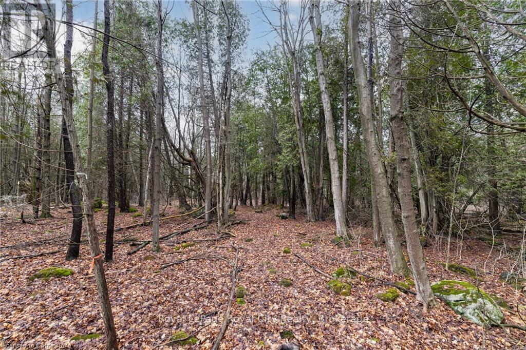 15 - 15 Side Road, Halton Hills, Ontario  L9T 2X7 - Photo 8 - W12872992