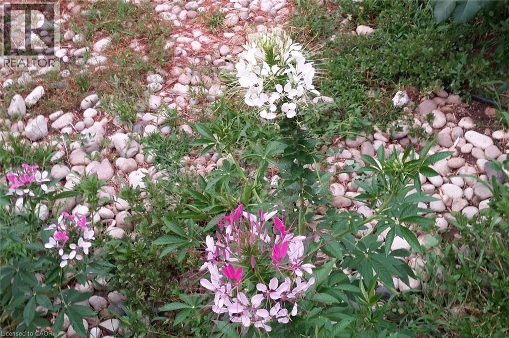 938 Courtland Drive, Ancaster, Ontario  L9G 3L1 - Photo 36 - 40811435