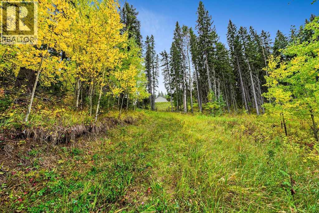 W:5 R:3 T:22 S:29 Q:nw Drive, Rural Foothills County, Alberta  T0L 1W0 - Photo 14 - A2079106