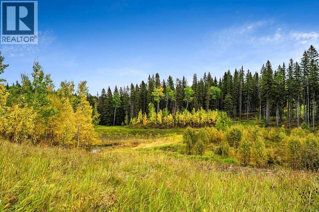 W:5 R:3 T:22 S:29 Q:nw Drive, Rural Foothills County, Alberta  T0L 1W0 - Photo 10 - A2079106