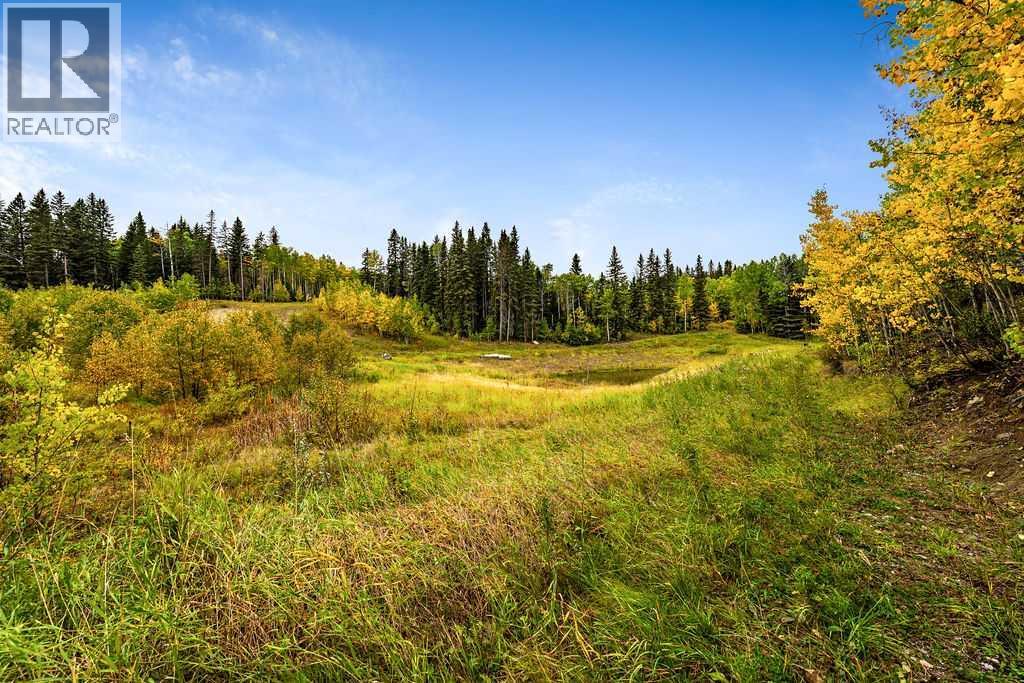 W:5 R:3 T:22 S:29 Q:nw Drive, Rural Foothills County, Alberta  T0L 1W0 - Photo 13 - A2079106