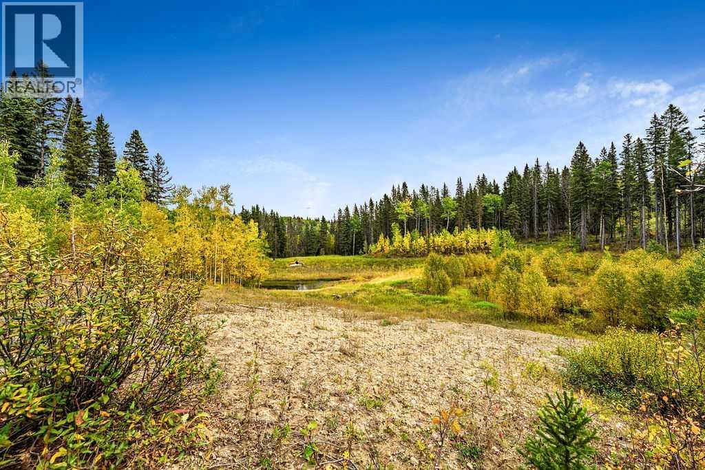 W:5 R:3 T:22 S:29 Q:nw Drive, Rural Foothills County, Alberta  T0L 1W0 - Photo 11 - A2079106