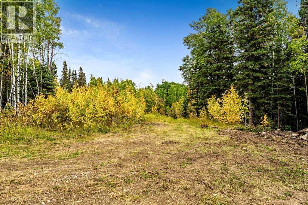 W:5 R:3 T:22 S:29 Q:nw Drive, Rural Foothills County, Alberta  T0L 1W0 - Photo 8 - A2079106