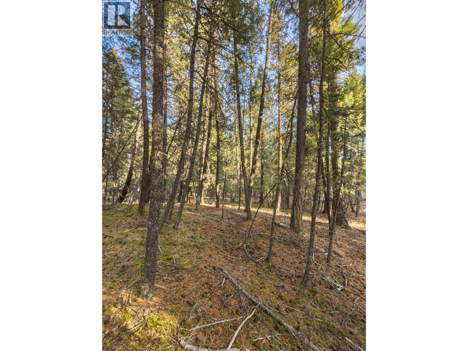 4893 Tattersfield Place, 108 Mile Ranch, British Columbia  V0K 2Z0 - Photo 6 - R3098929