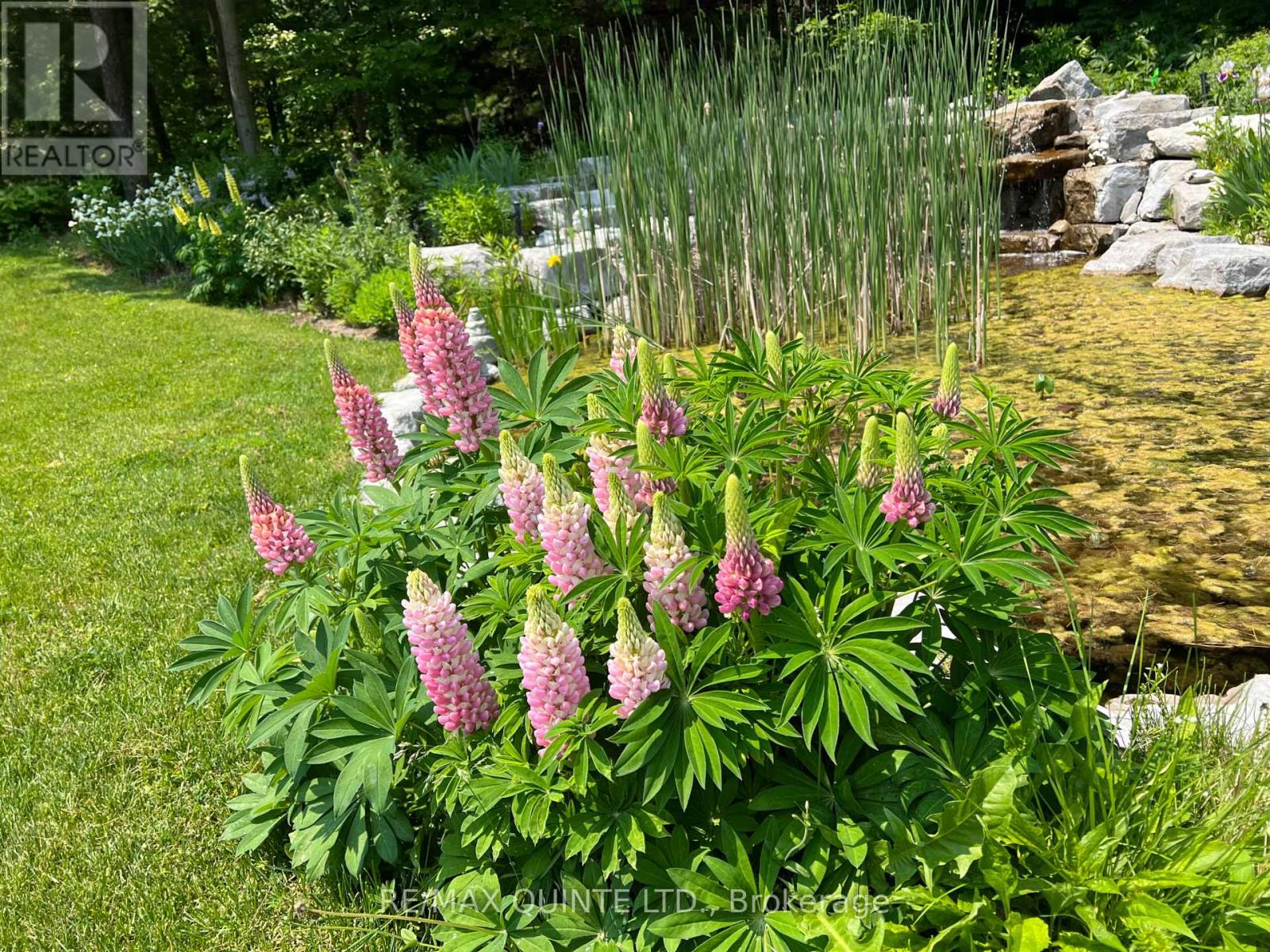 2 Treeview Avenue, Whitchurch-Stouffville, Ontario  L4A 1R1 - Photo 37 - N12873230