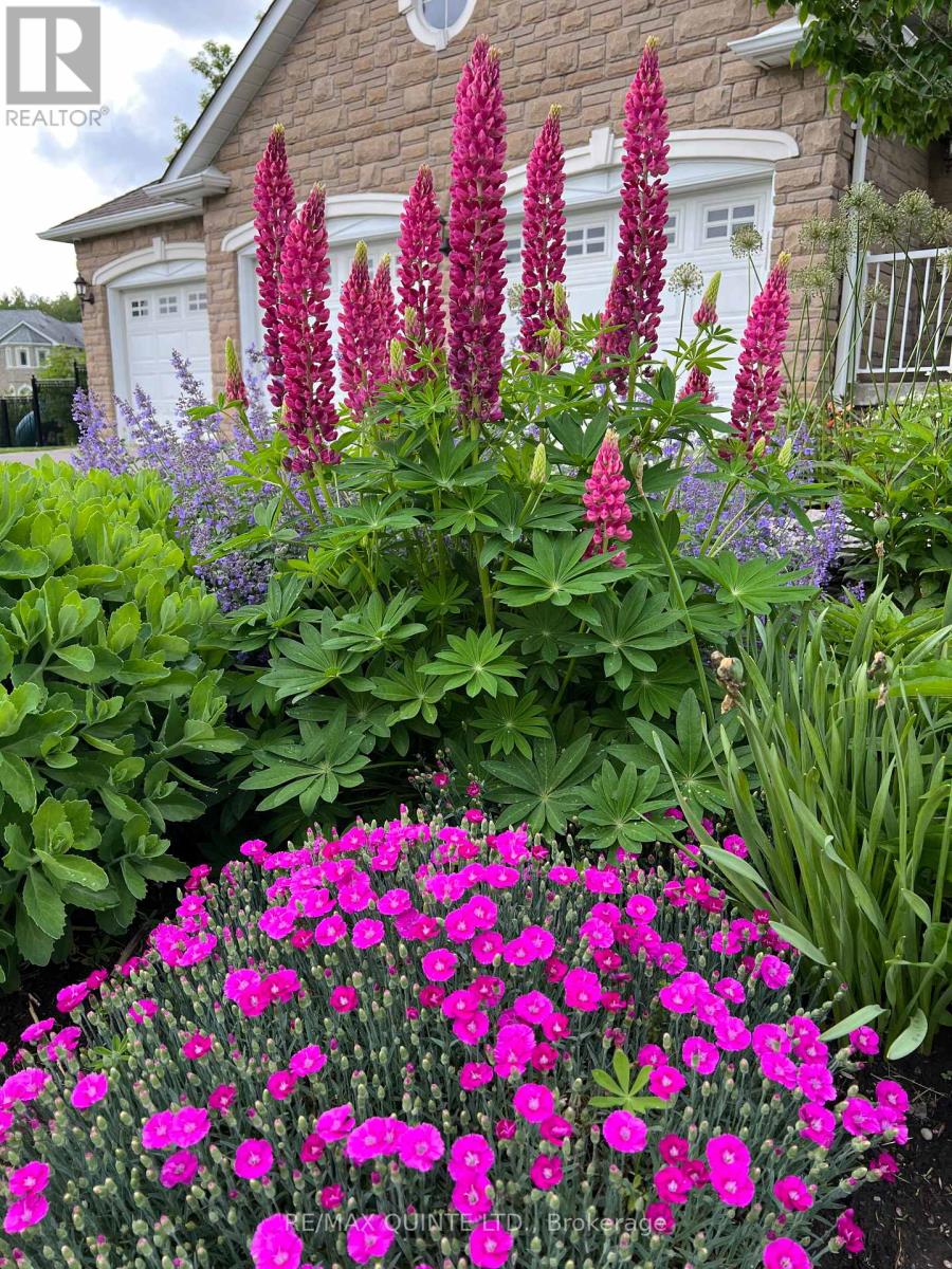 2 Treeview Avenue, Whitchurch-Stouffville, Ontario  L4A 1R1 - Photo 40 - N12873230