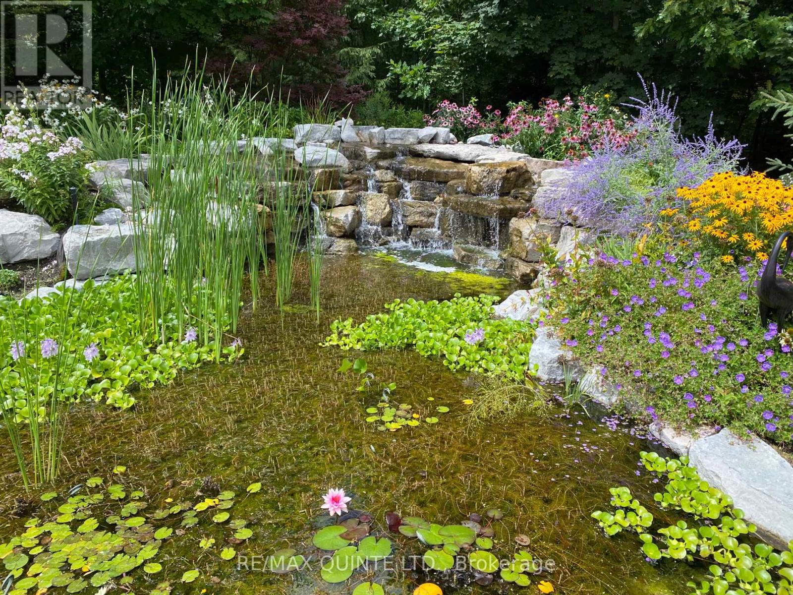 2 Treeview Avenue, Whitchurch-Stouffville, Ontario  L4A 1R1 - Photo 43 - N12873230