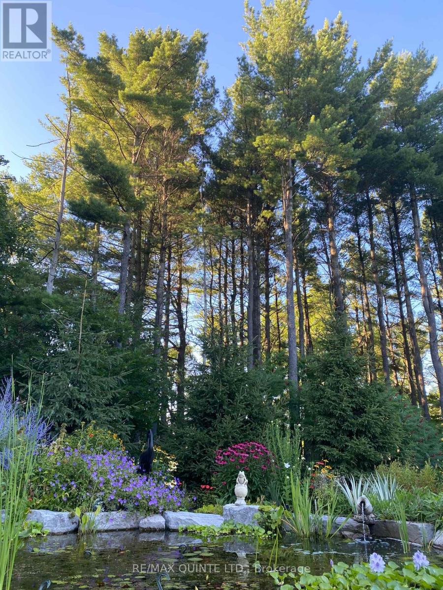 2 Treeview Avenue, Whitchurch-Stouffville, Ontario  L4A 1R1 - Photo 44 - N12873230