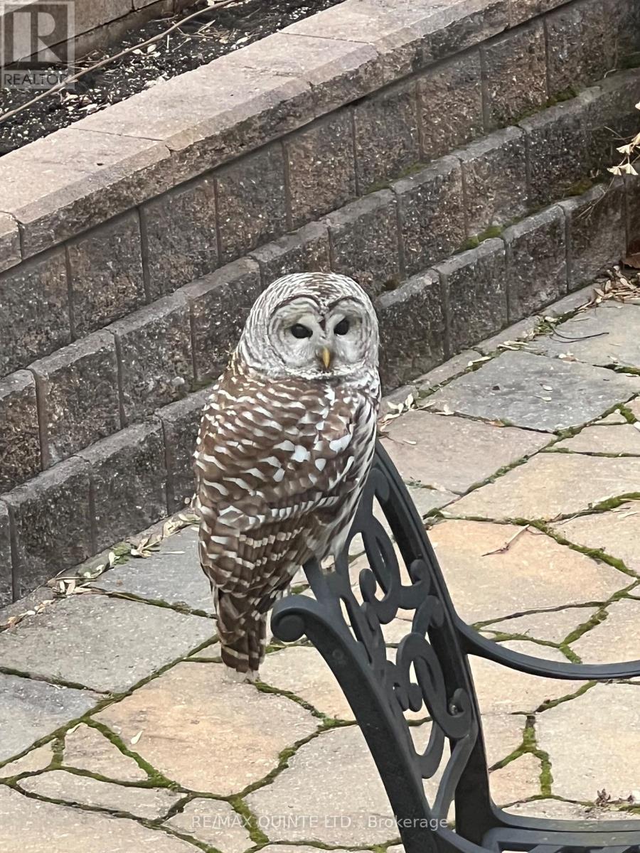 2 Treeview Avenue, Whitchurch-Stouffville, Ontario  L4A 1R1 - Photo 45 - N12873230