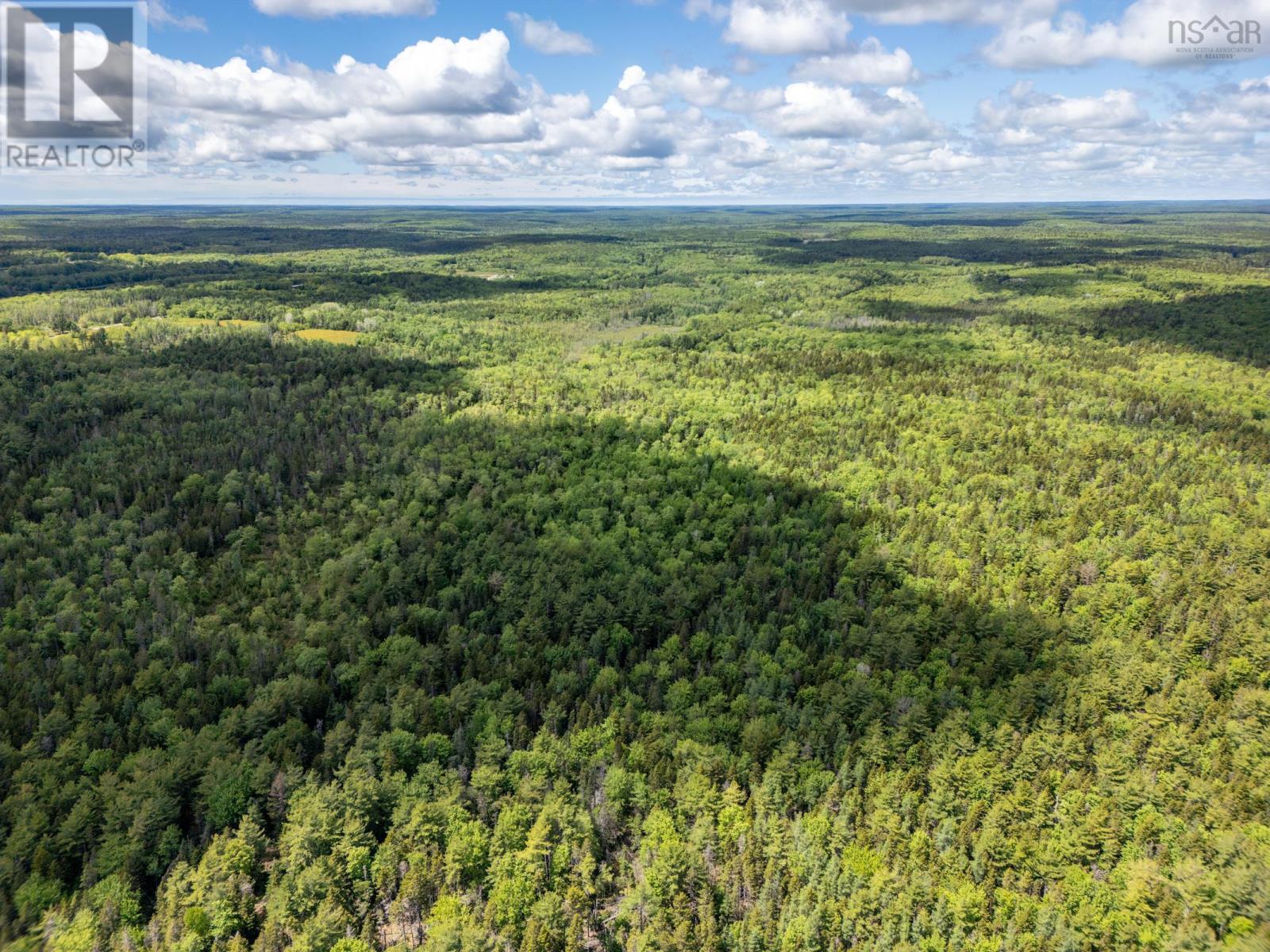 2925 Highway 203, East Kemptville, Nova Scotia  B5A 5P5 - Photo 4 - 202514276