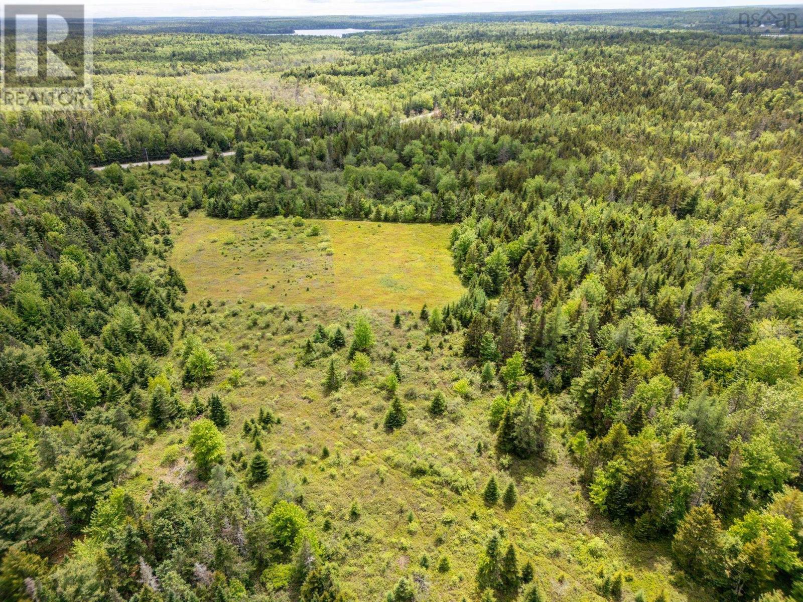 2925 Highway 203, East Kemptville, Nova Scotia  B5A 5P5 - Photo 5 - 202514276