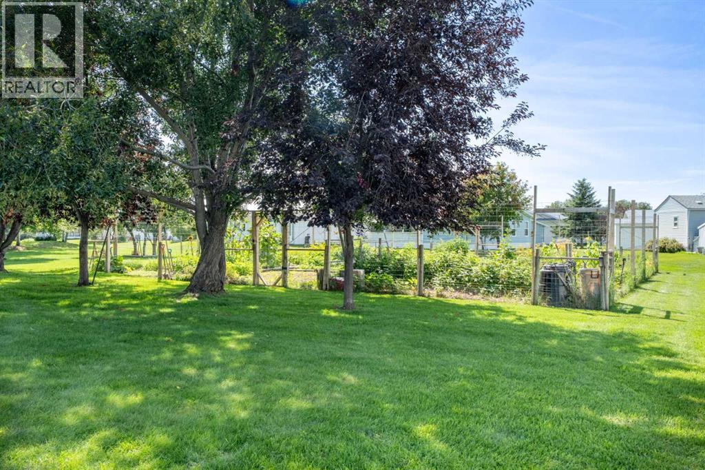 22 Doubletree Way, Strathmore, Alberta  T1P 1M8 - Photo 31 - A2291786