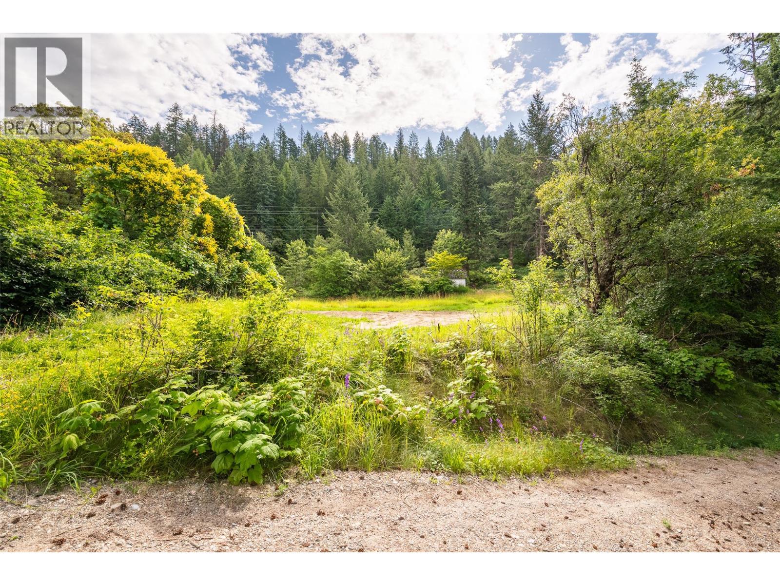 13828 3a Highway, Gray Creek, British Columbia  V0B 1S0 - Photo 21 - 10378420