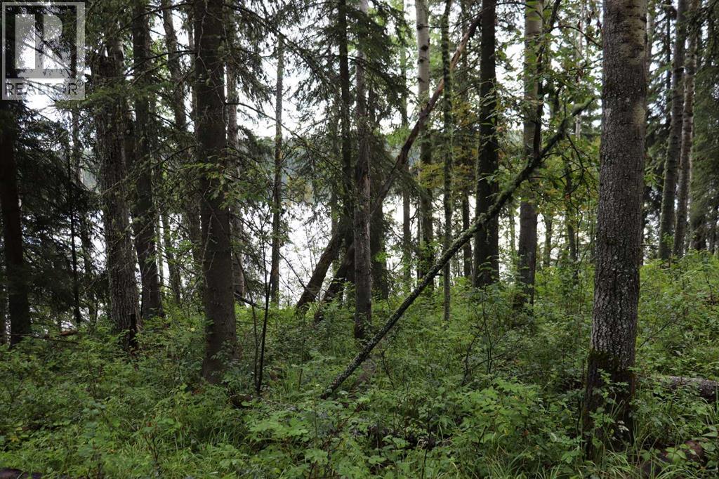 53105 Range Road 195, Rural Yellowhead County, Alberta  T7E 3A2 - Photo 11 - A2289928