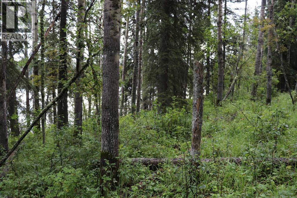 53105 Range Road 195, Rural Yellowhead County, Alberta  T7E 3A2 - Photo 12 - A2289928