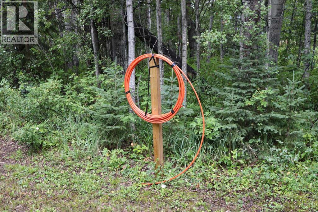 53105 Range Road 195, Rural Yellowhead County, Alberta  T7E 3A2 - Photo 13 - A2289928