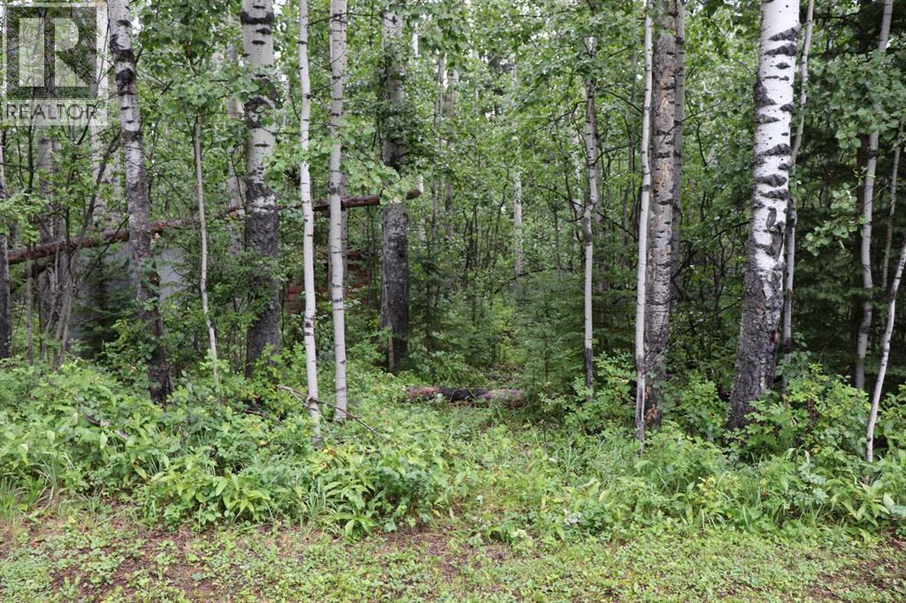 53105 Range Road 195, Rural Yellowhead County, Alberta  T7E 3A2 - Photo 8 - A2289928