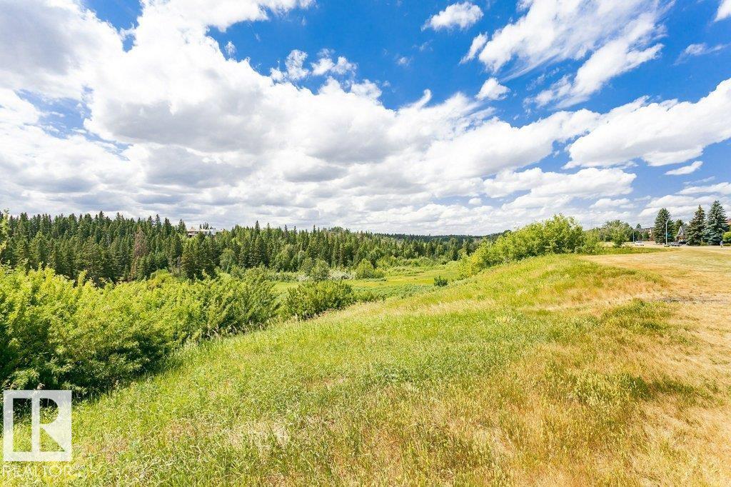 1051 109 St Nw, Edmonton, Alberta  T6J 5G2 - Photo 70 - E4476941