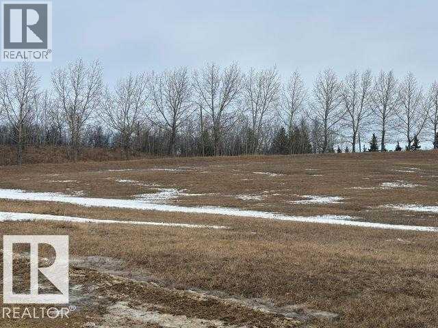 1 Country Club Estates, County Of, Alberta  T9A 2G3 - Photo 6 - A2292714