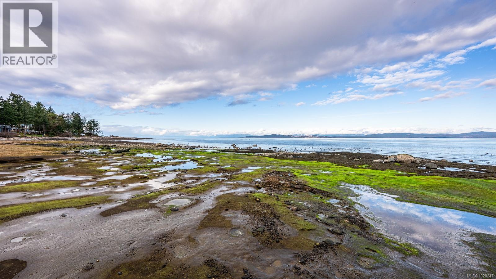 3480 Brigantine Cres, Hornby Island, British Columbia  V0R 1Z0 - Photo 54 - 1028247