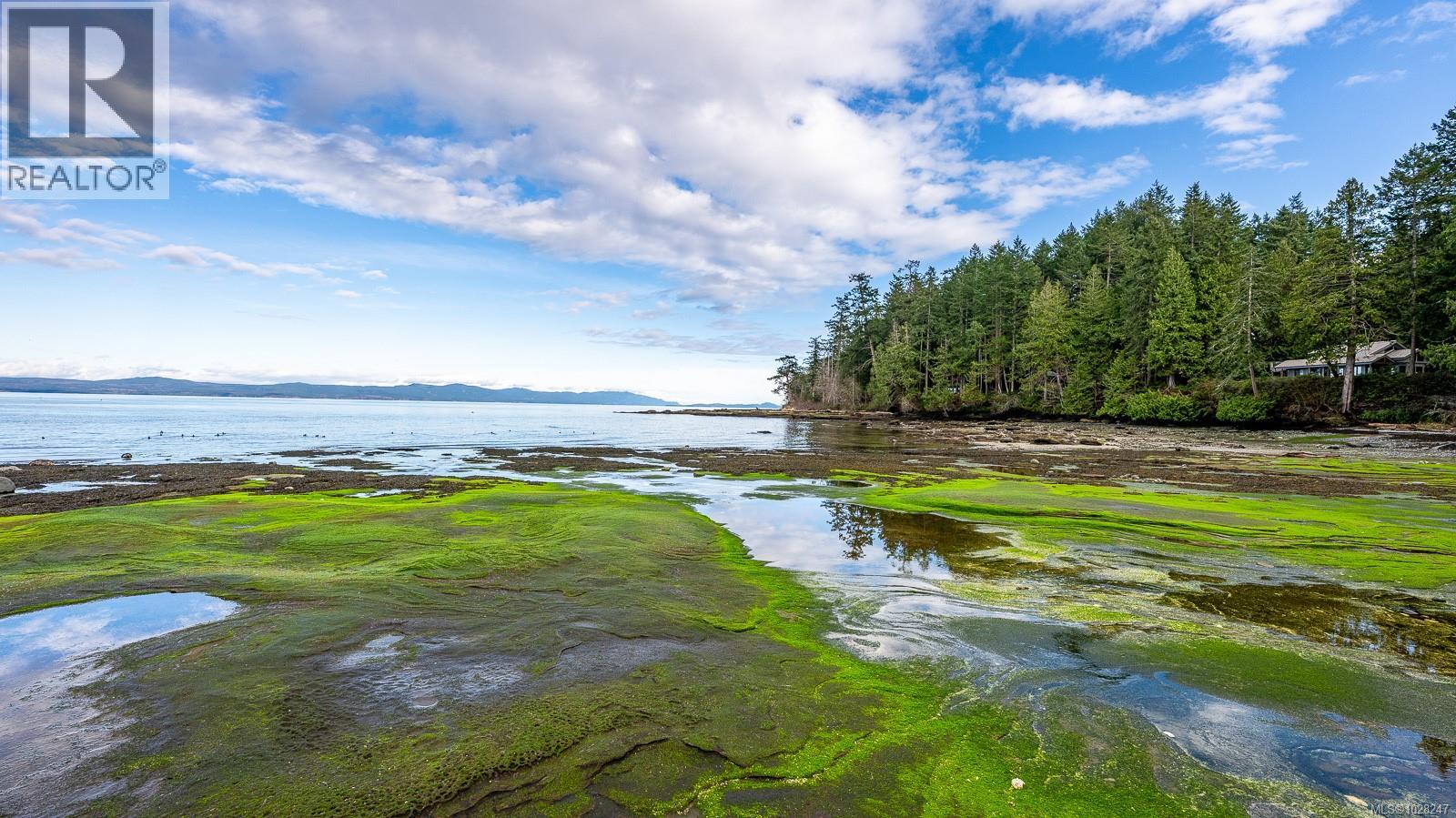 3480 Brigantine Cres, Hornby Island, British Columbia  V0R 1Z0 - Photo 55 - 1028247