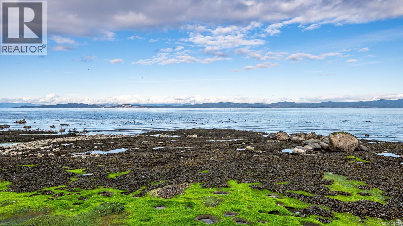 3480 Brigantine Cres, Hornby Island, British Columbia  V0R 1Z0 - Photo 56 - 1028247