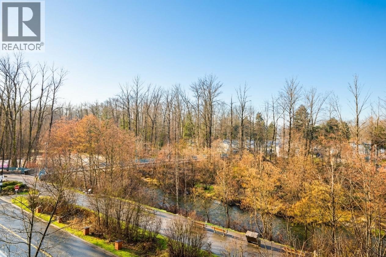 407 2628 Maple Street, Port Coquitlam, British Columbia  V3C 0E2 - Photo 29 - R3098303