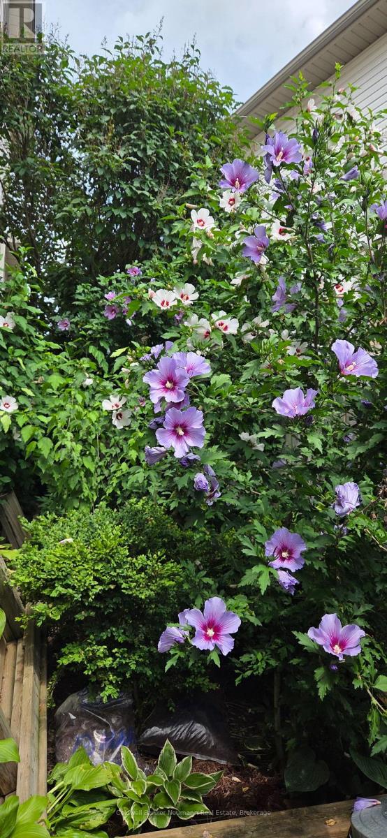 67 Cedarvale Avenue, Guelph, Ontario  N1E 6Y3 - Photo 41 - X12873464