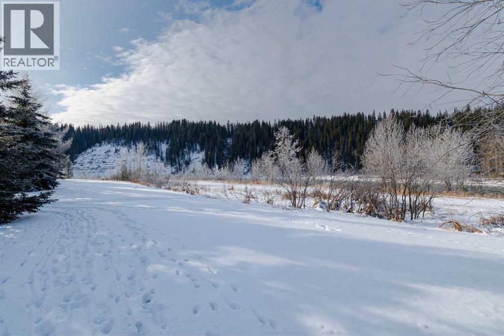 70 Riverview Circle, Cochrane, Alberta  T4C 1K3 - Photo 8 - A2292705