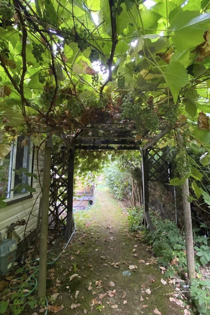 7566 Dunsmuir Street, Mission, British Columbia  V2V 4B4 - Photo 33 - R3098951