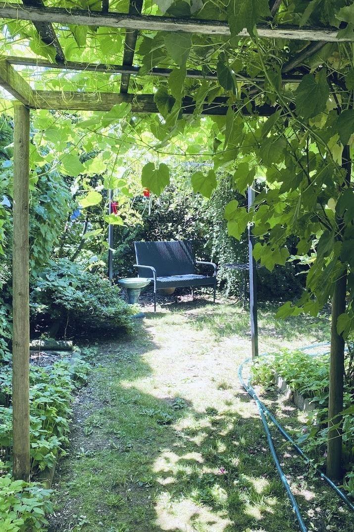 7566 Dunsmuir Street, Mission, British Columbia  V2V 4B4 - Photo 34 - R3098951