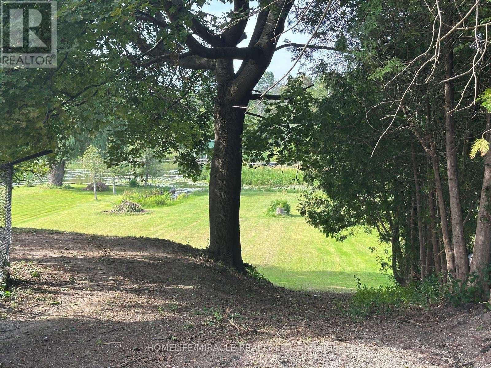 164 Riverbank Drive, Georgina (Pefferlaw), Ontario  L0E 1N0 - Photo 16 - N12873552